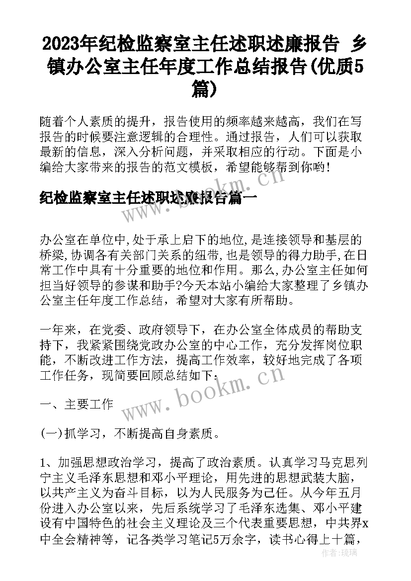 2023年纪检监察室主任述职述廉报告 乡镇办公室主任年度工作总结报告(优质5篇)