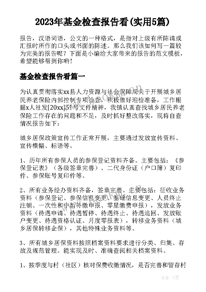 2023年基金检查报告看(实用5篇)