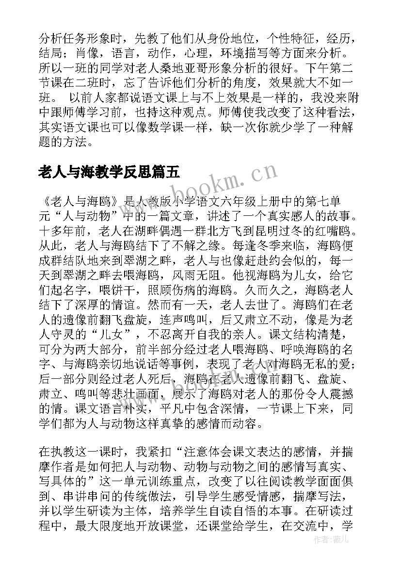 老人与海教学反思 老人与海教学反思教学反思(汇总6篇)