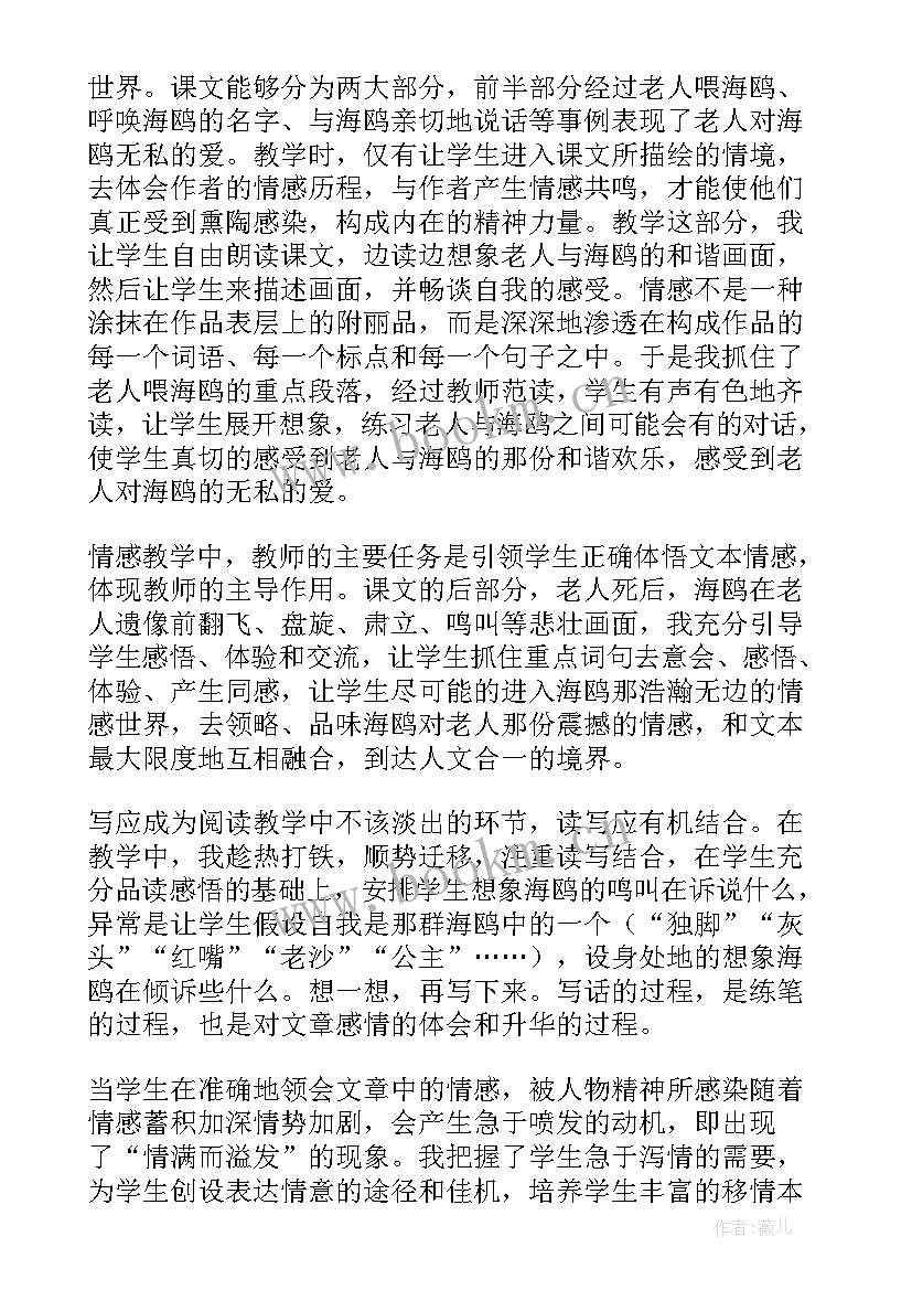 老人与海教学反思 老人与海教学反思教学反思(汇总6篇)