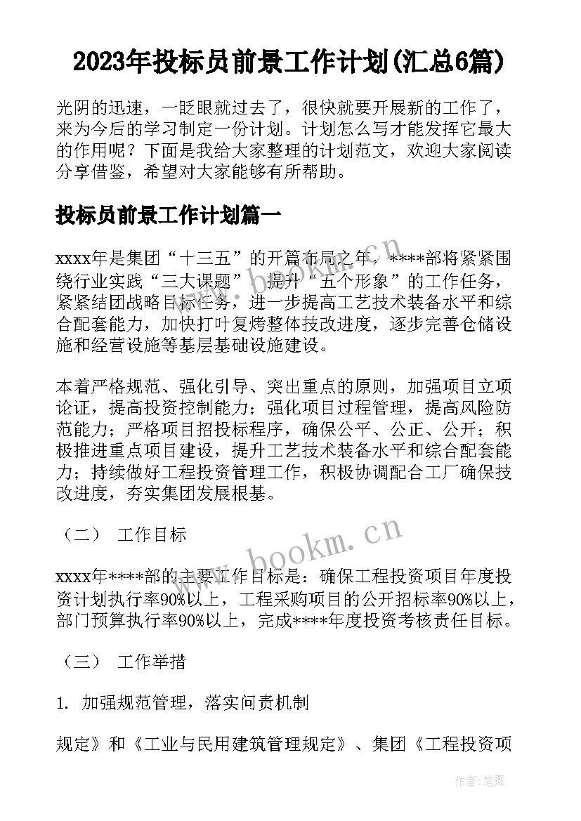 2023年投标员前景工作计划(汇总6篇)