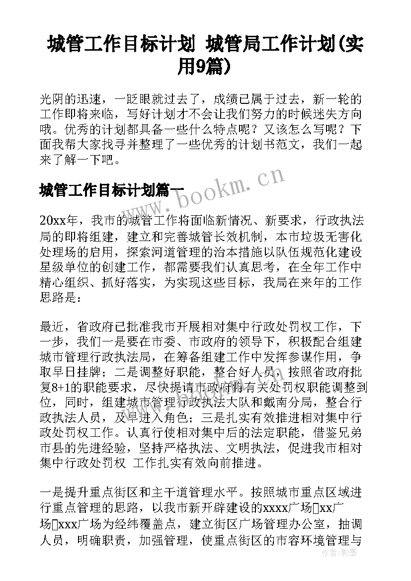 城管工作目标计划 城管局工作计划(实用9篇)