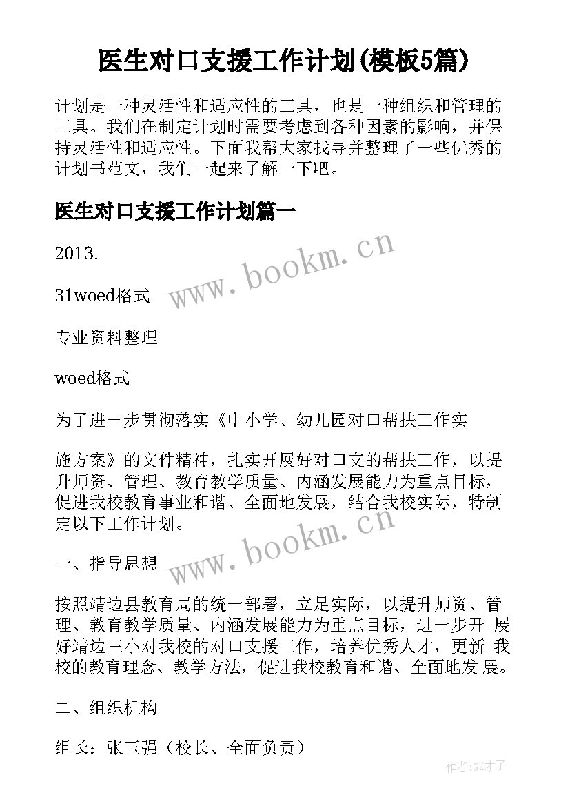 医生对口支援工作计划(模板5篇)