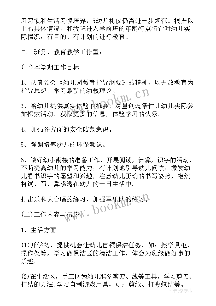 幼师工作计划(精选5篇)