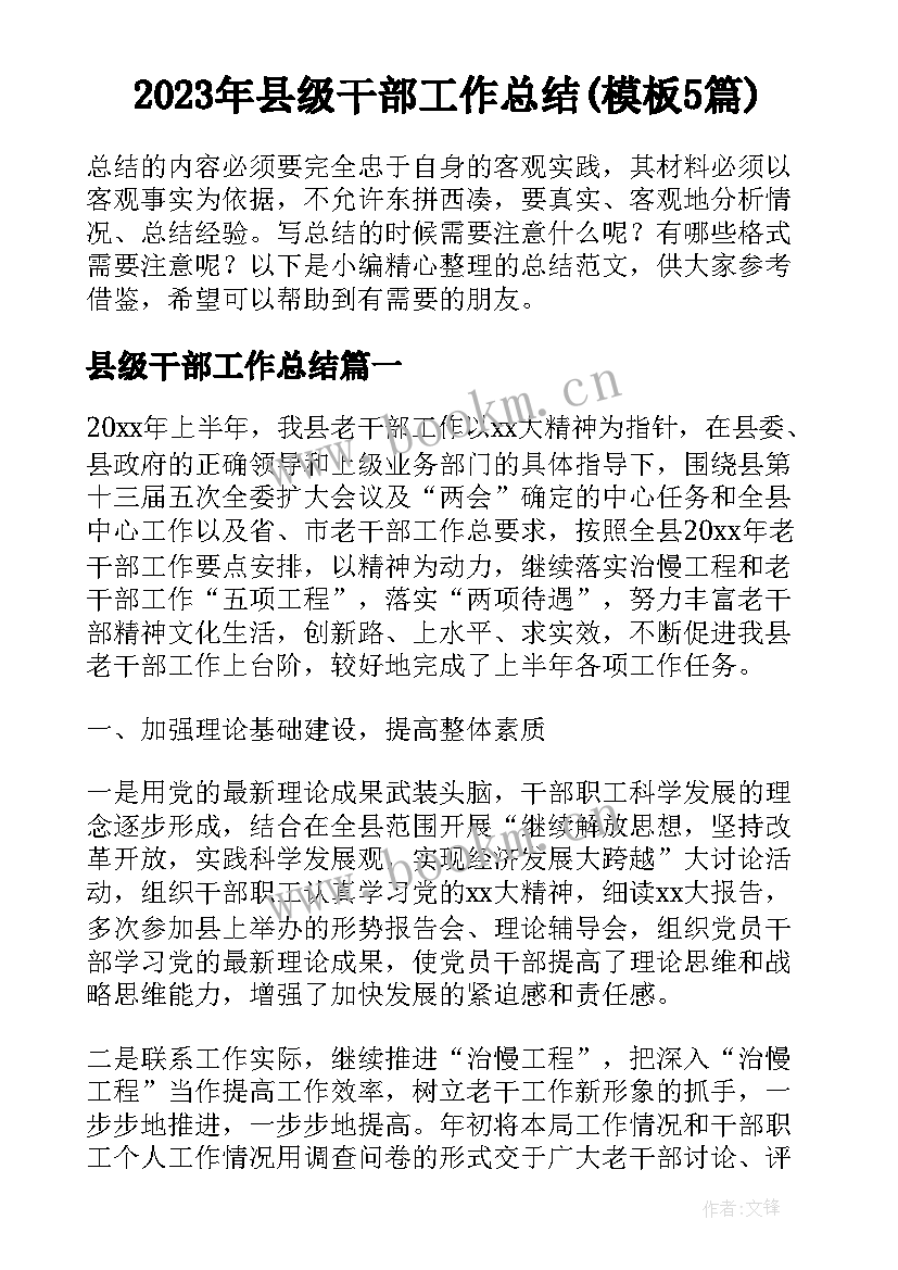 2023年县级干部工作总结(模板5篇)