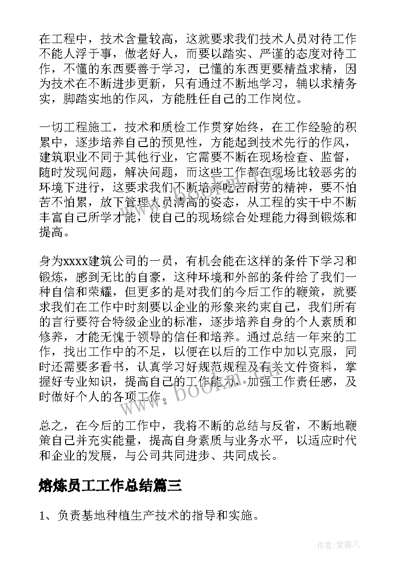 熔炼员工工作总结 技术员工作总结(汇总6篇)