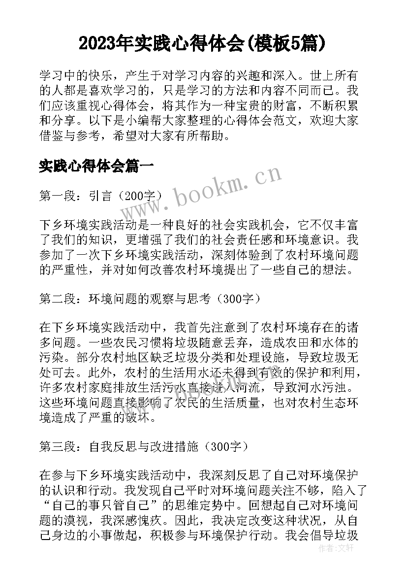 2023年实践心得体会(模板5篇)