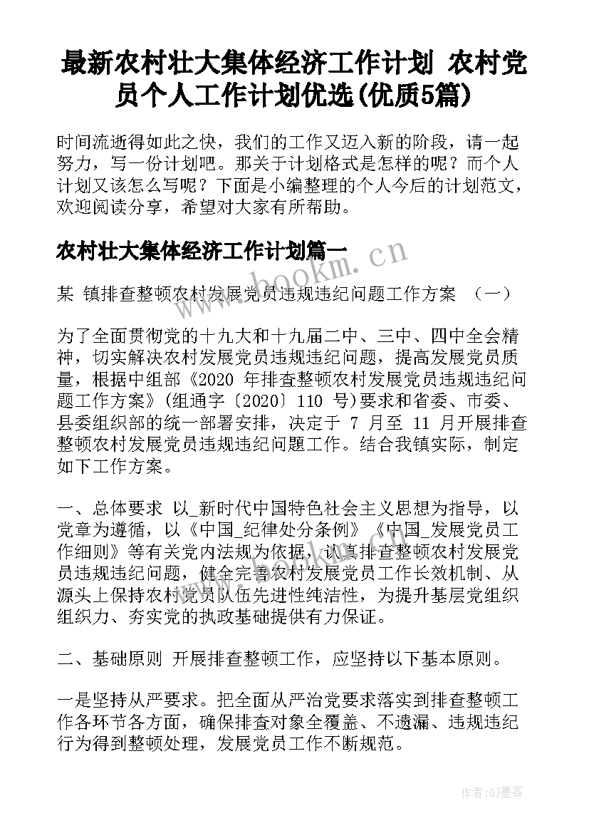 最新农村壮大集体经济工作计划 农村党员个人工作计划优选(优质5篇)