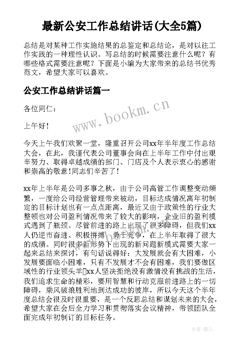 最新公安工作总结讲话(大全5篇)