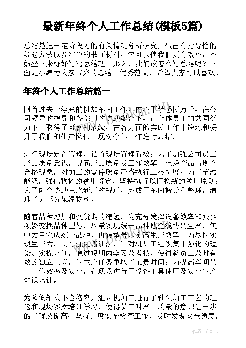 最新年终个人工作总结(模板5篇)