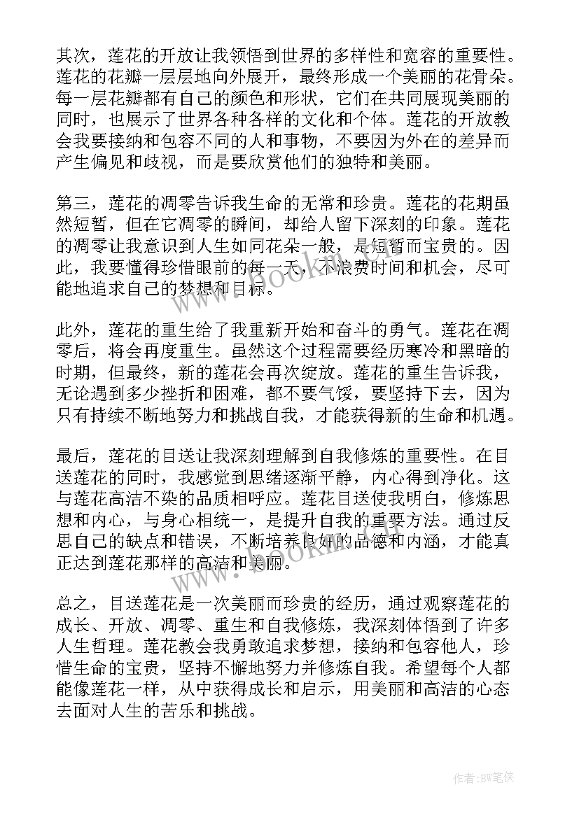 目送心得体会(模板10篇)