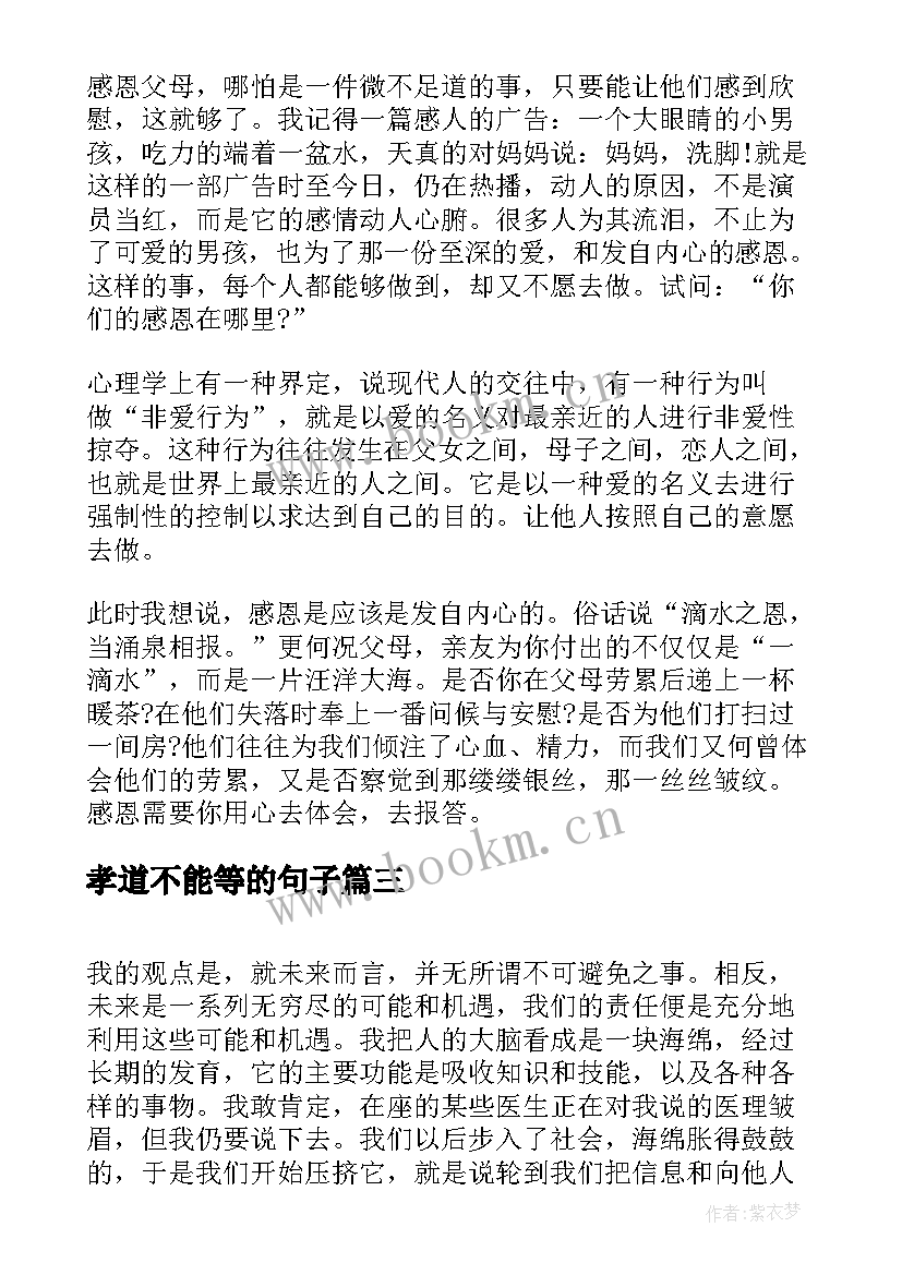 2023年孝道不能等的句子 演讲稿刻苦学习的精神不能丢弃(精选5篇)