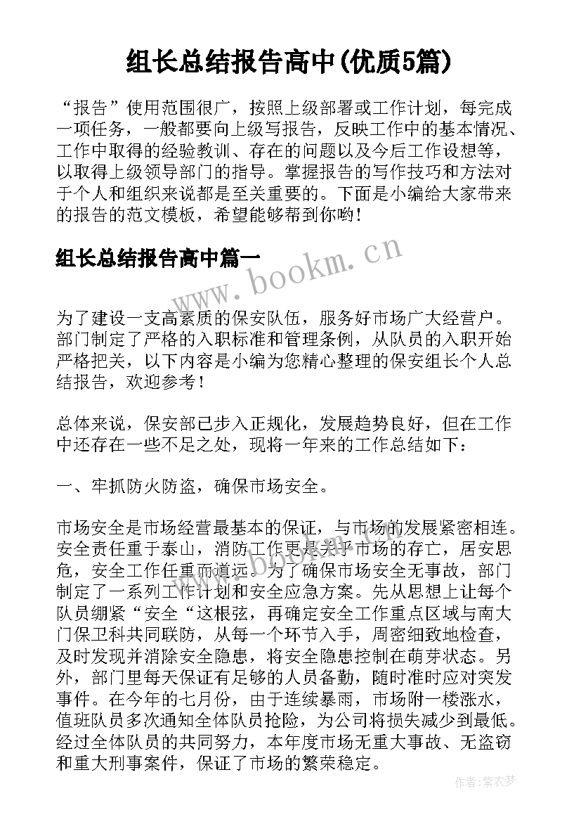 组长总结报告高中(优质5篇)