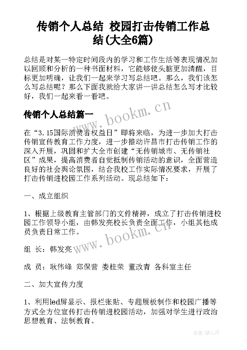 传销个人总结 校园打击传销工作总结(大全6篇)