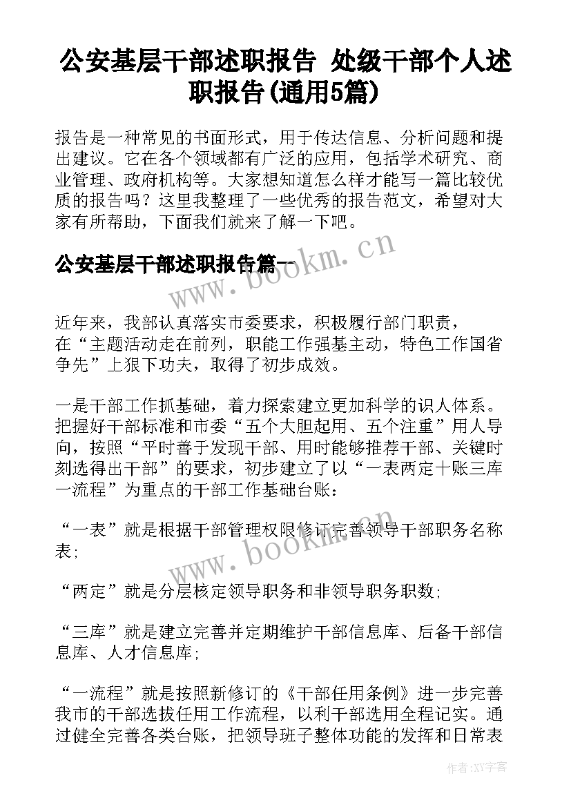 公安基层干部述职报告 处级干部个人述职报告(通用5篇)