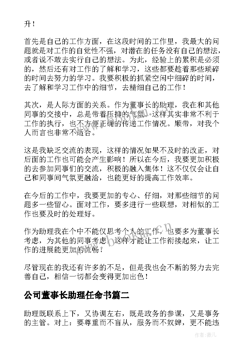 最新公司董事长助理任命书 公司董事长助理个人工作计划(汇总5篇)