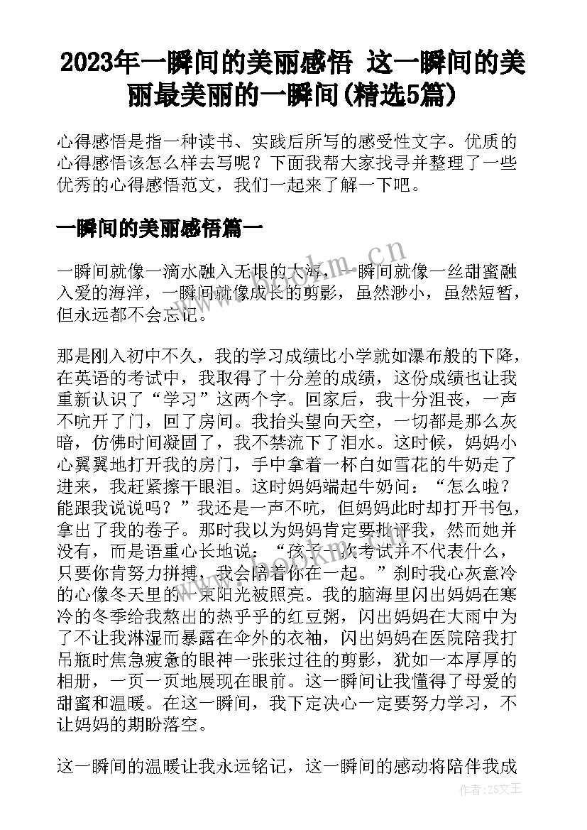 2023年一瞬间的美丽感悟 这一瞬间的美丽最美丽的一瞬间(精选5篇)