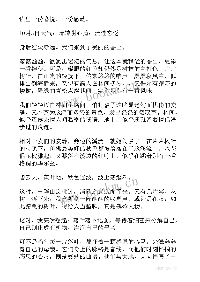 2023年一瞬间的美丽感悟 这一瞬间的美丽最美丽的一瞬间(精选5篇)