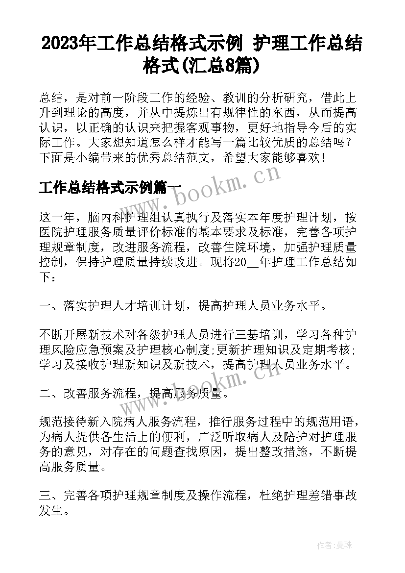 2023年工作总结格式示例 护理工作总结格式(汇总8篇)