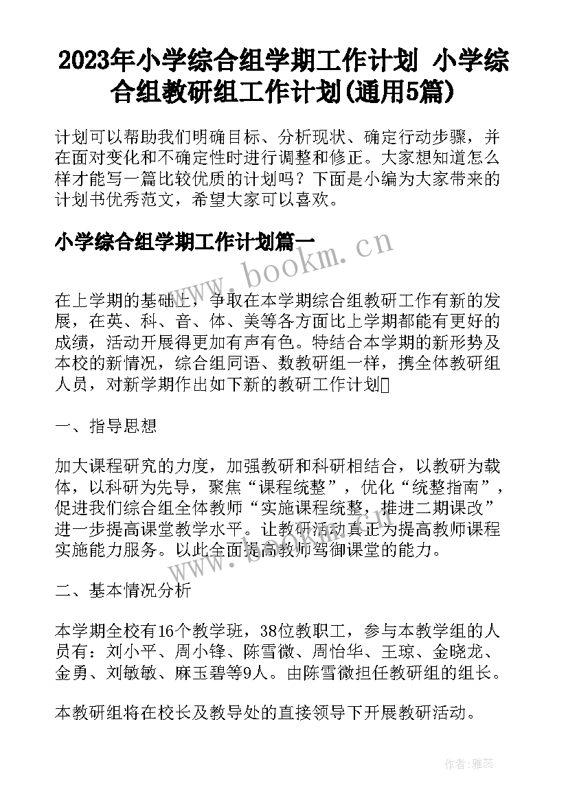 2023年小学综合组学期工作计划 小学综合组教研组工作计划(通用5篇)