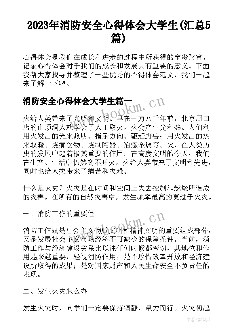 2023年消防安全心得体会大学生(汇总5篇)