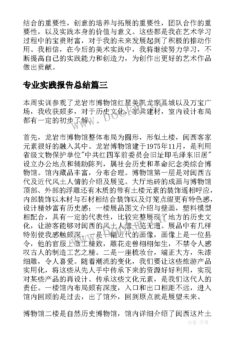 专业实践报告总结(优秀6篇)