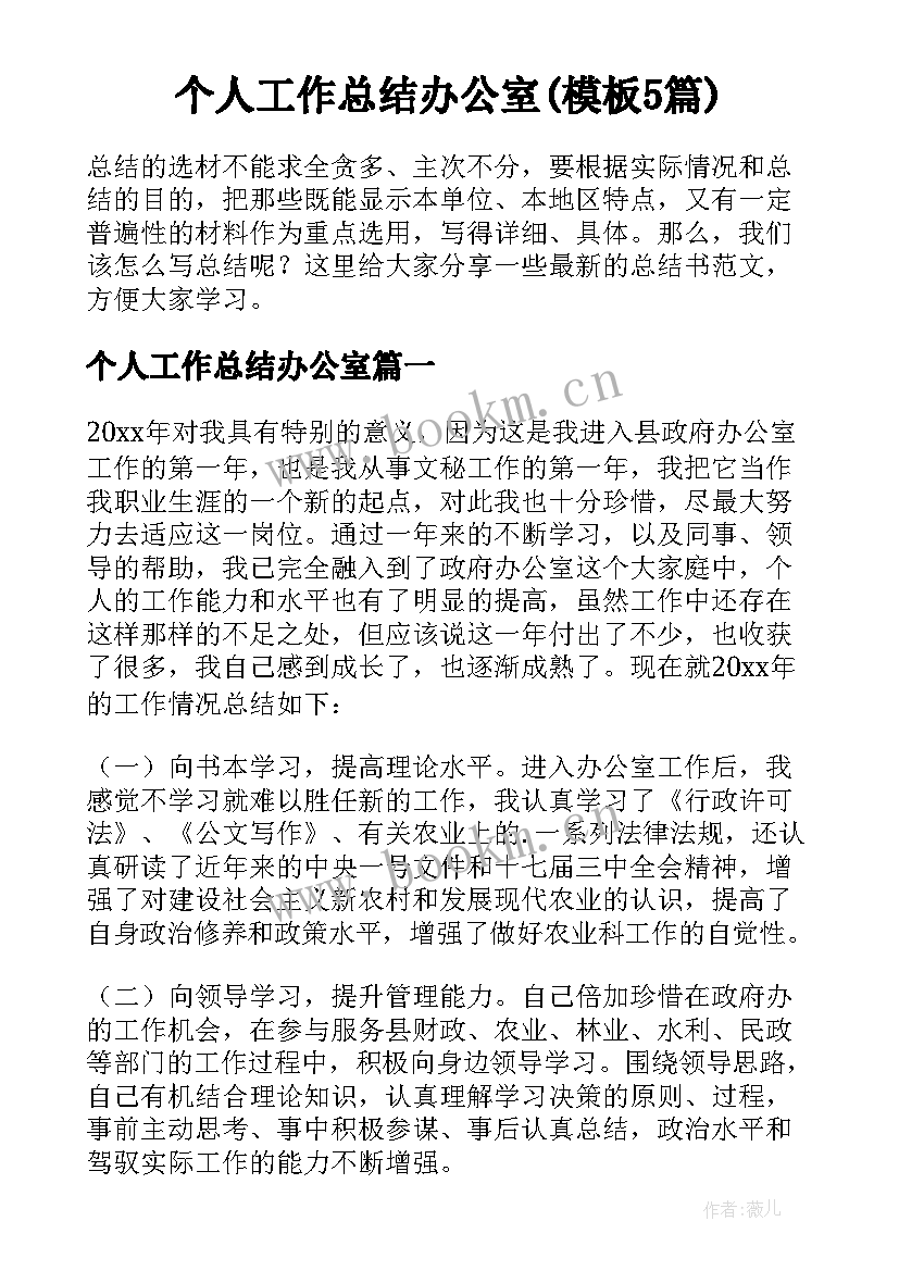 个人工作总结办公室(模板5篇)