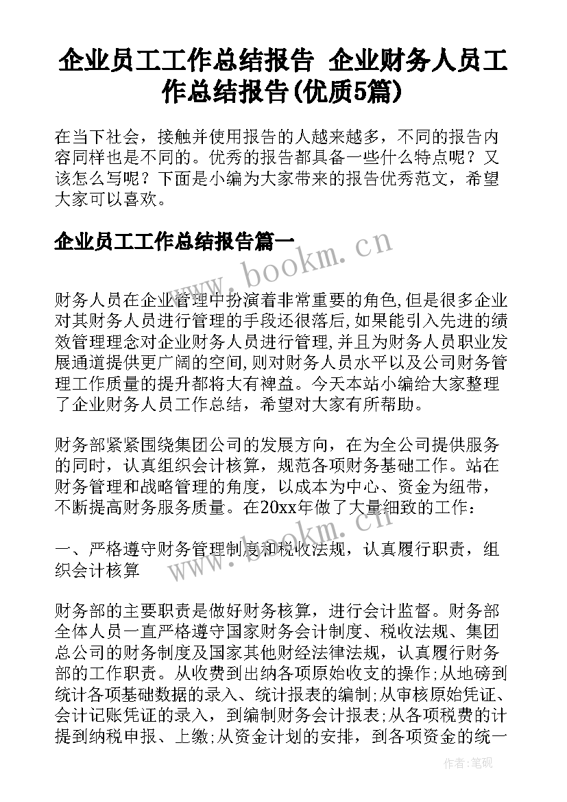 企业员工工作总结报告 企业财务人员工作总结报告(优质5篇)