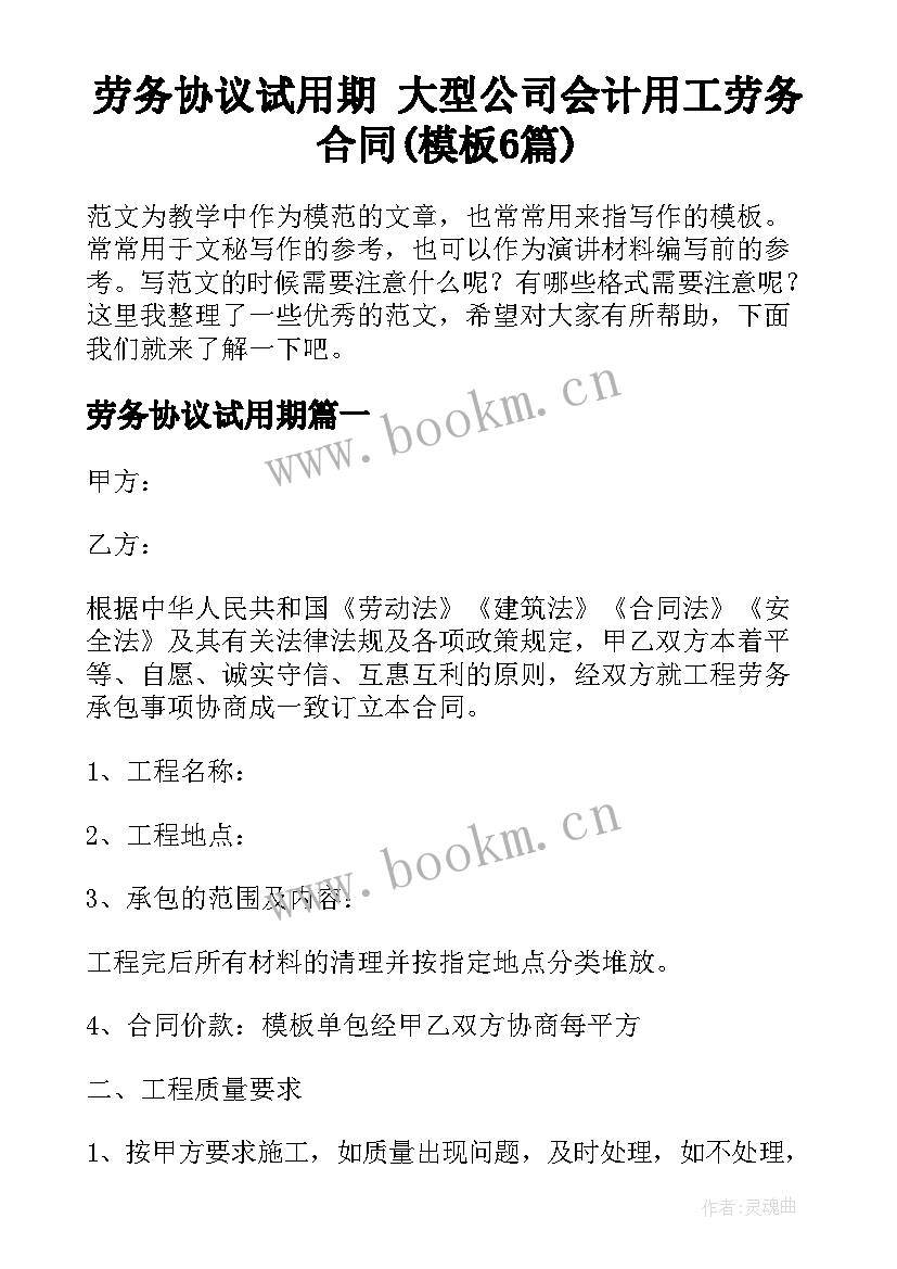 劳务协议试用期 大型公司会计用工劳务合同(模板6篇)