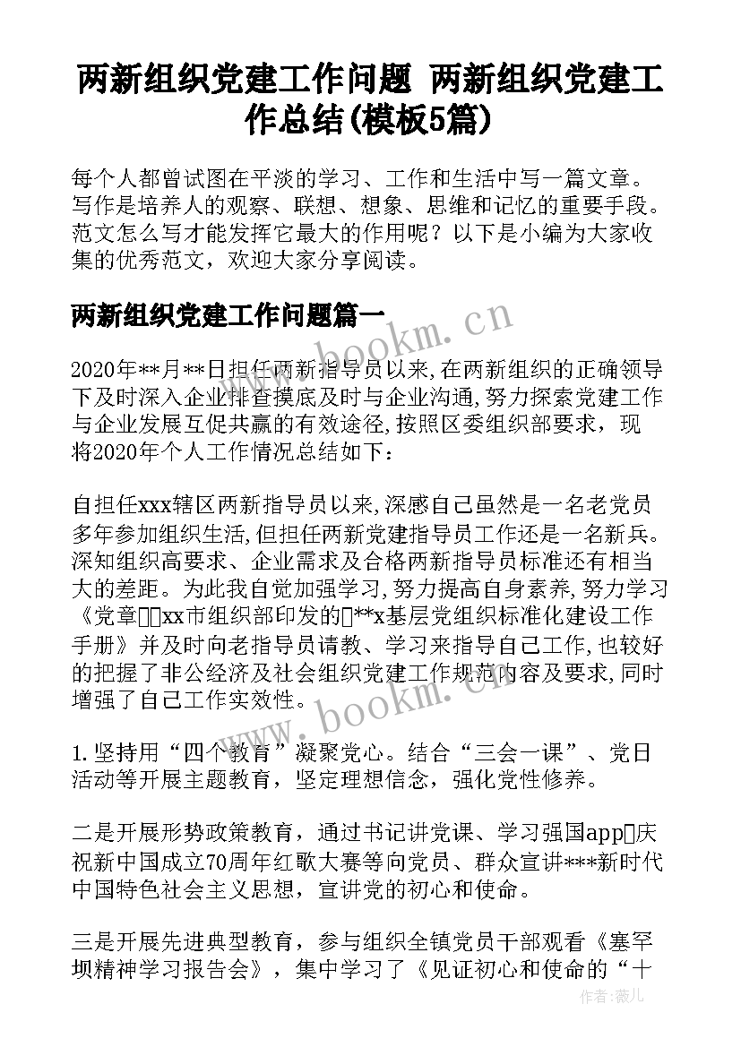 两新组织党建工作问题 两新组织党建工作总结(模板5篇)