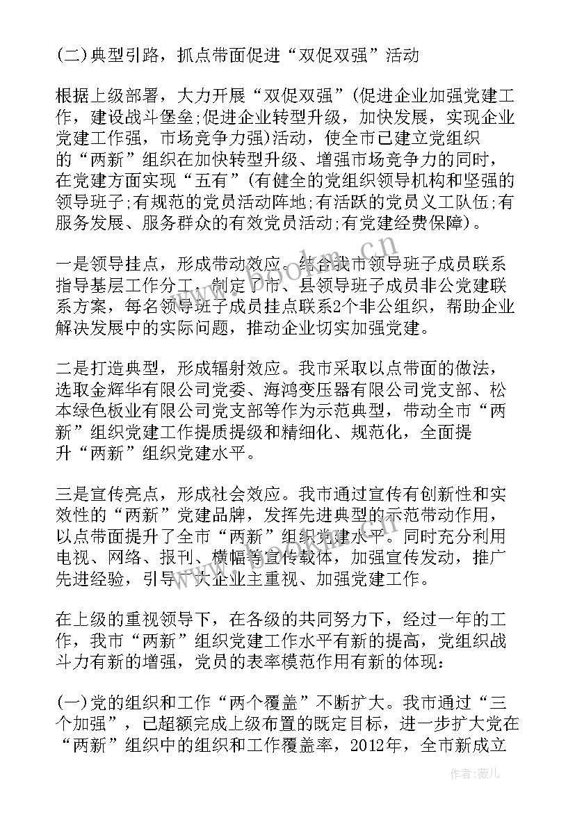 两新组织党建工作问题 两新组织党建工作总结(模板5篇)