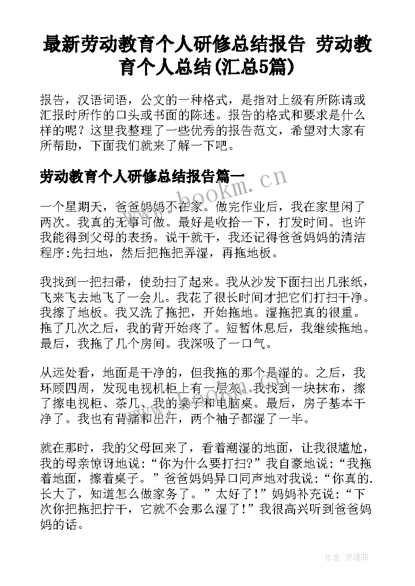 最新劳动教育个人研修总结报告 劳动教育个人总结(汇总5篇)