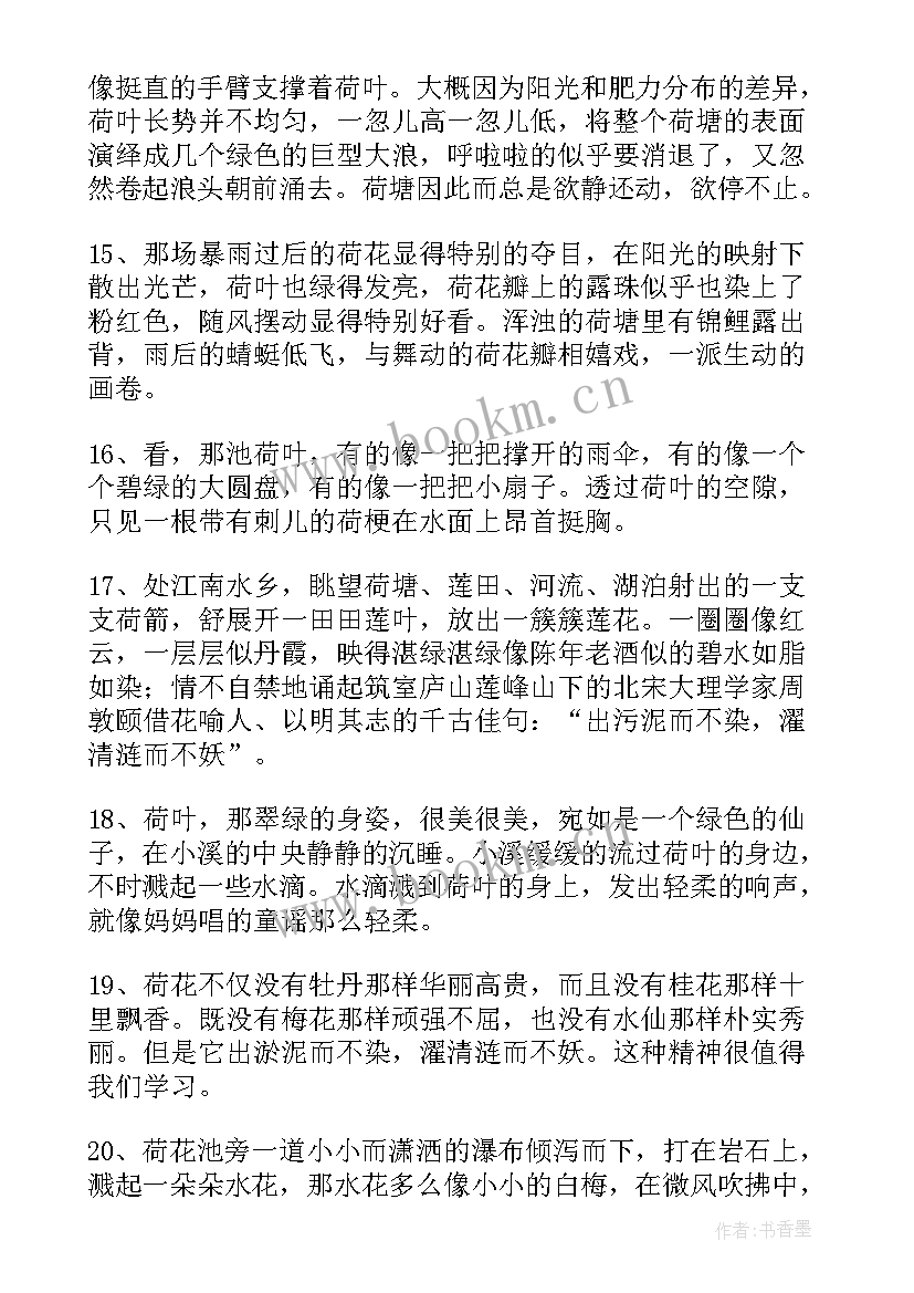 2023年荷花好句好段摘抄(汇总5篇)