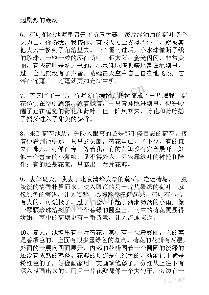 2023年荷花好句好段摘抄(汇总5篇)