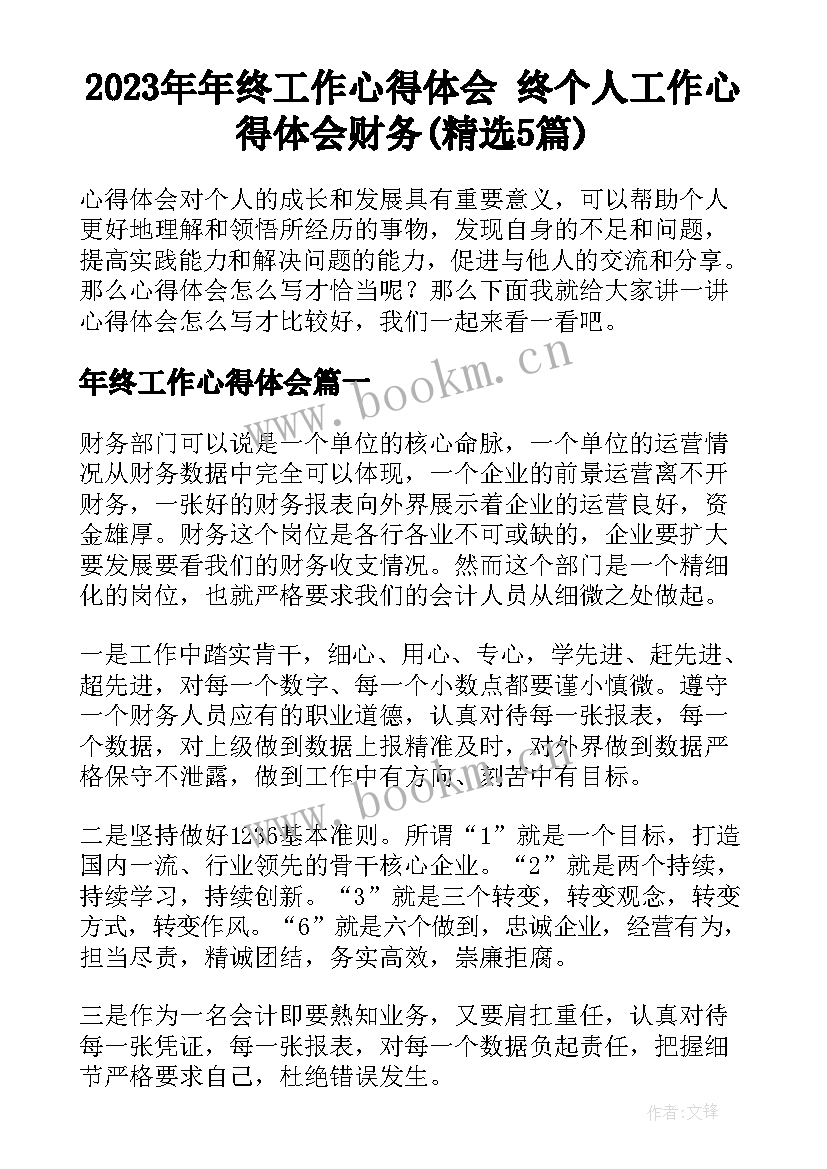 2023年年终工作心得体会 终个人工作心得体会财务(精选5篇)