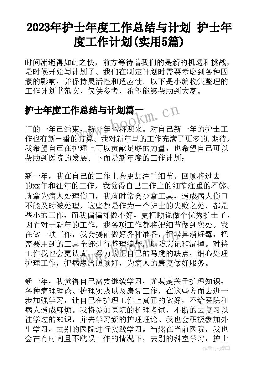 2023年护士年度工作总结与计划 护士年度工作计划(实用5篇)