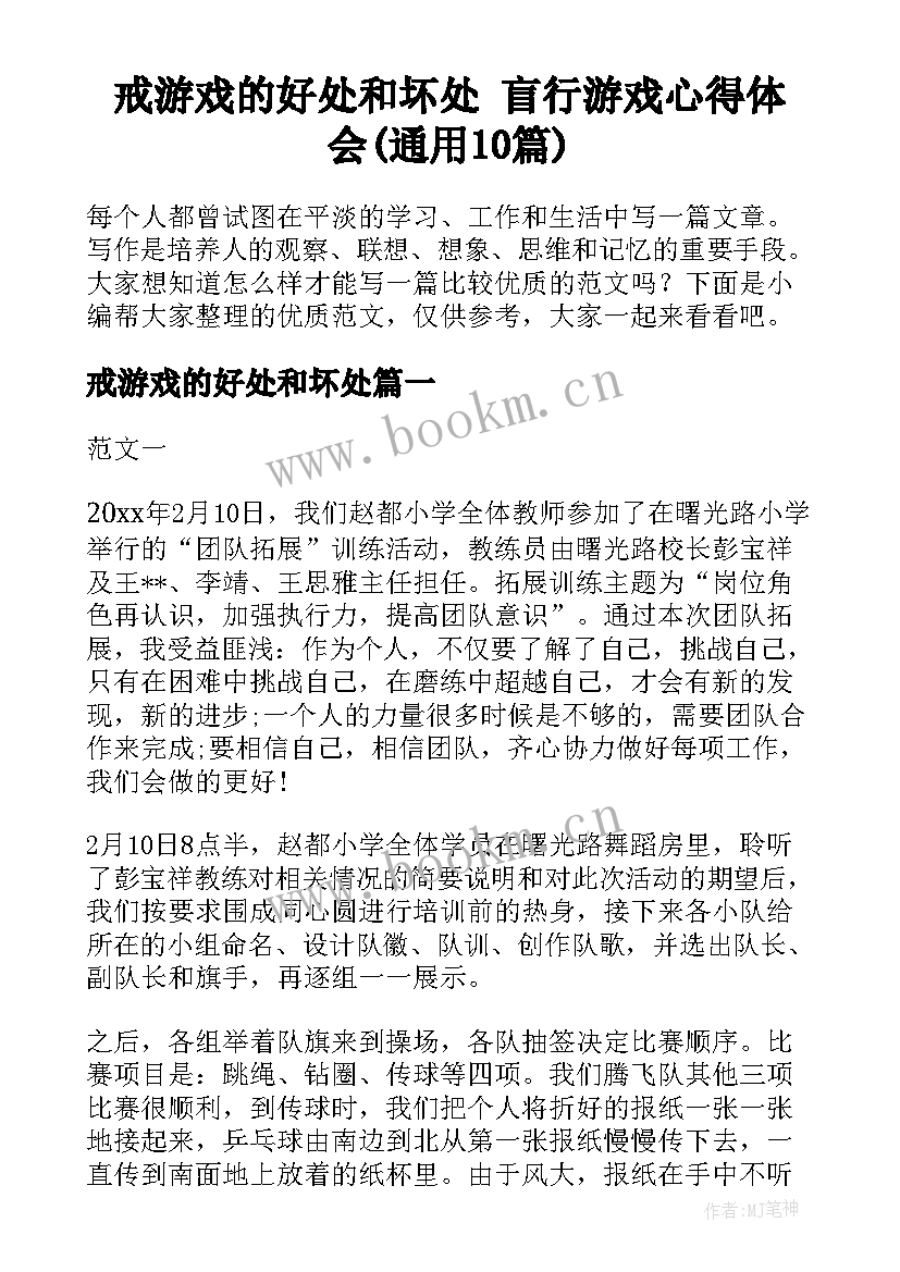 戒游戏的好处和坏处 盲行游戏心得体会(通用10篇)