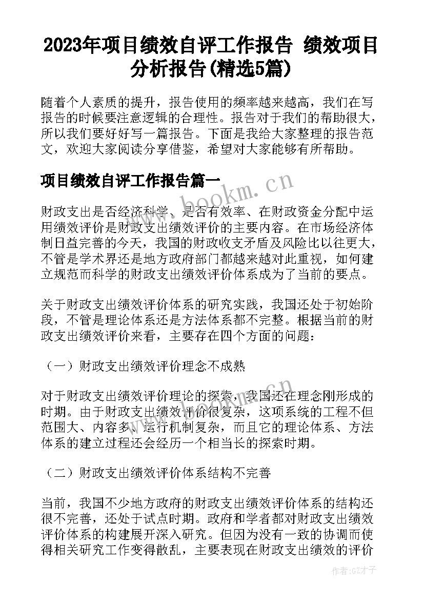 2023年项目绩效自评工作报告 绩效项目分析报告(精选5篇)