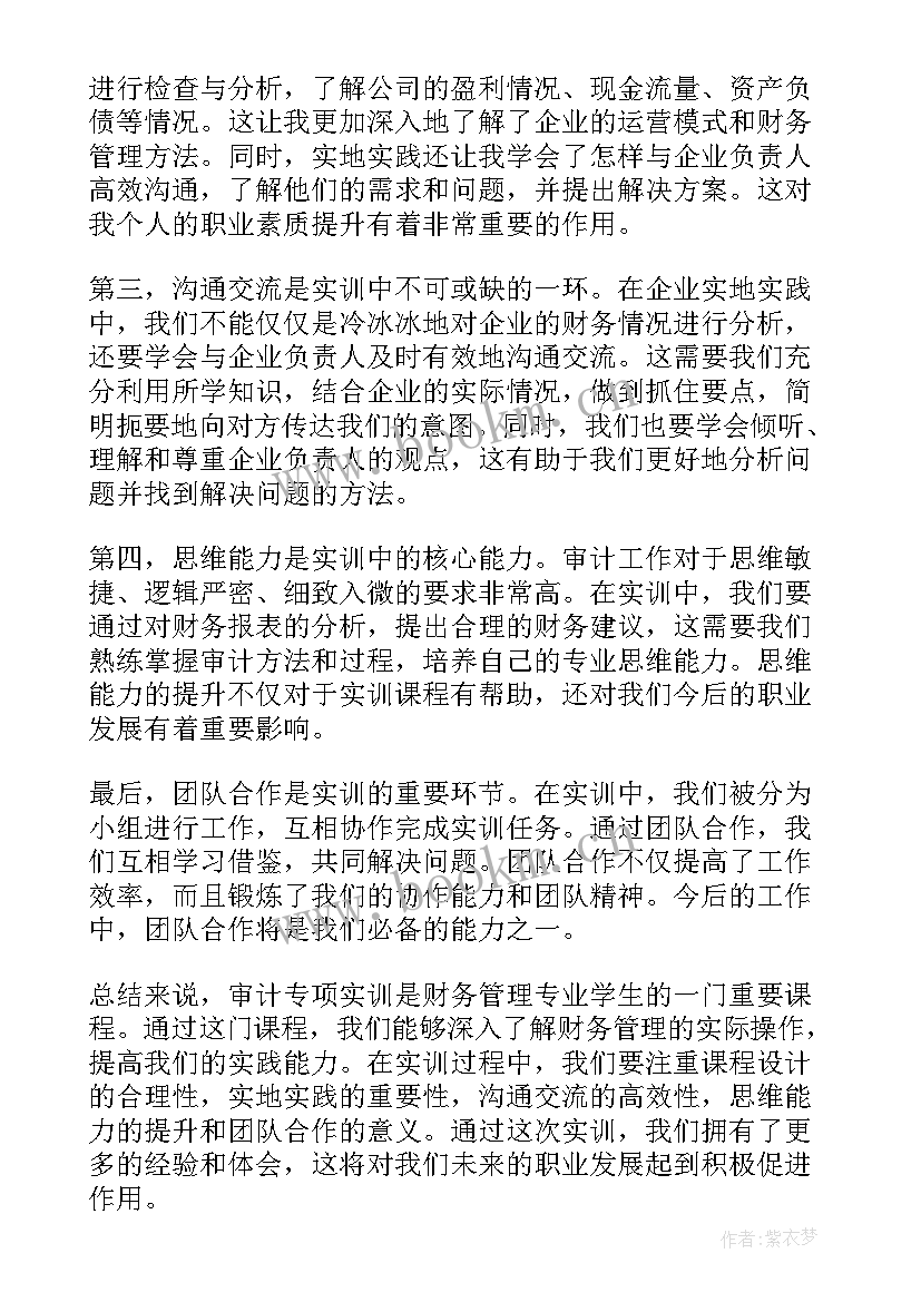 2023年审计报告英文翻译版(优质7篇)