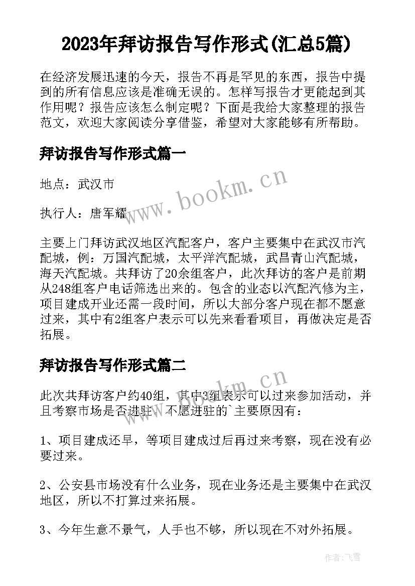 2023年拜访报告写作形式(汇总5篇)