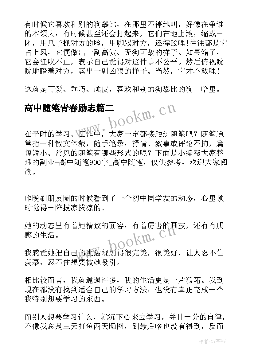 2023年高中随笔青春励志(精选9篇)