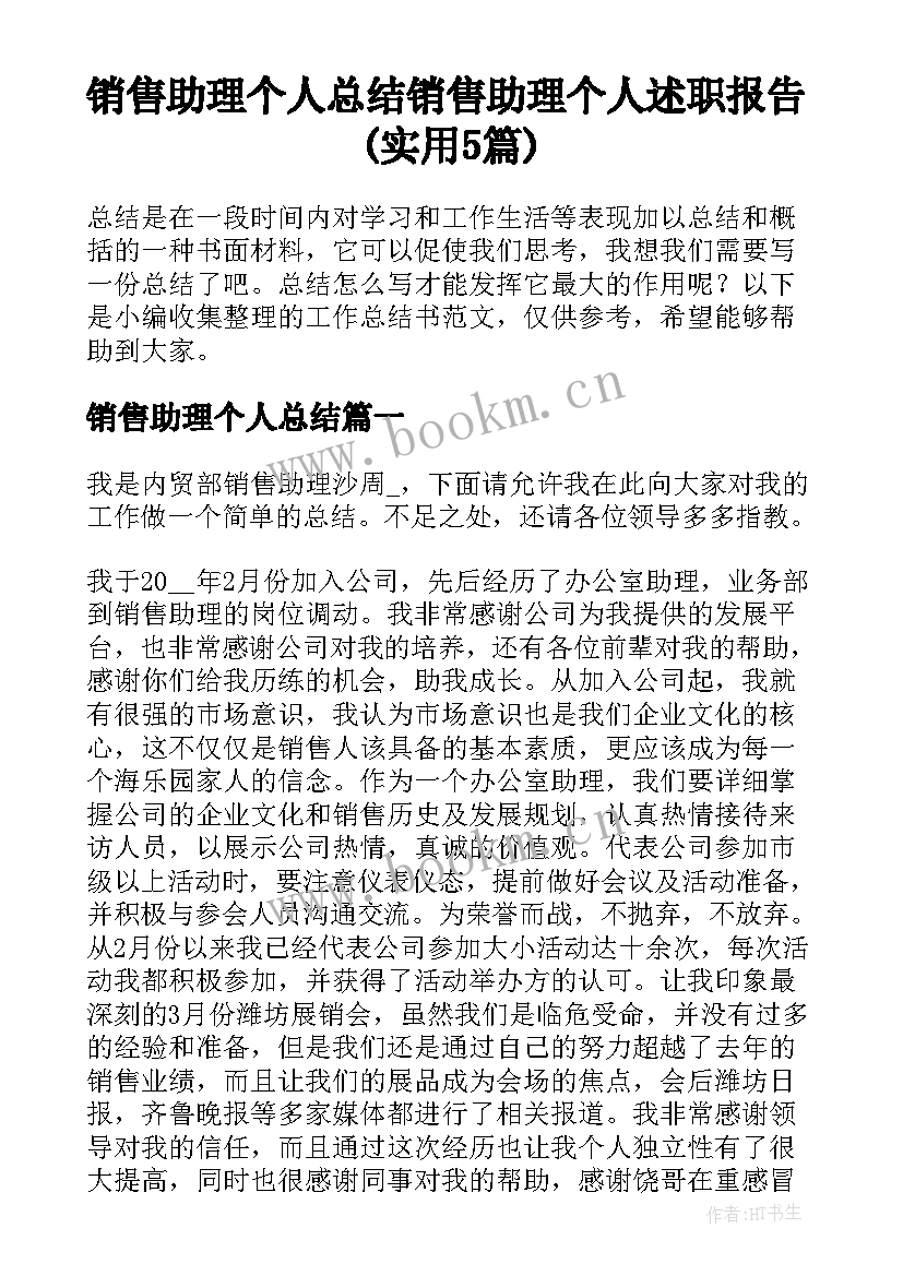 销售助理个人总结 销售助理个人述职报告(实用5篇)