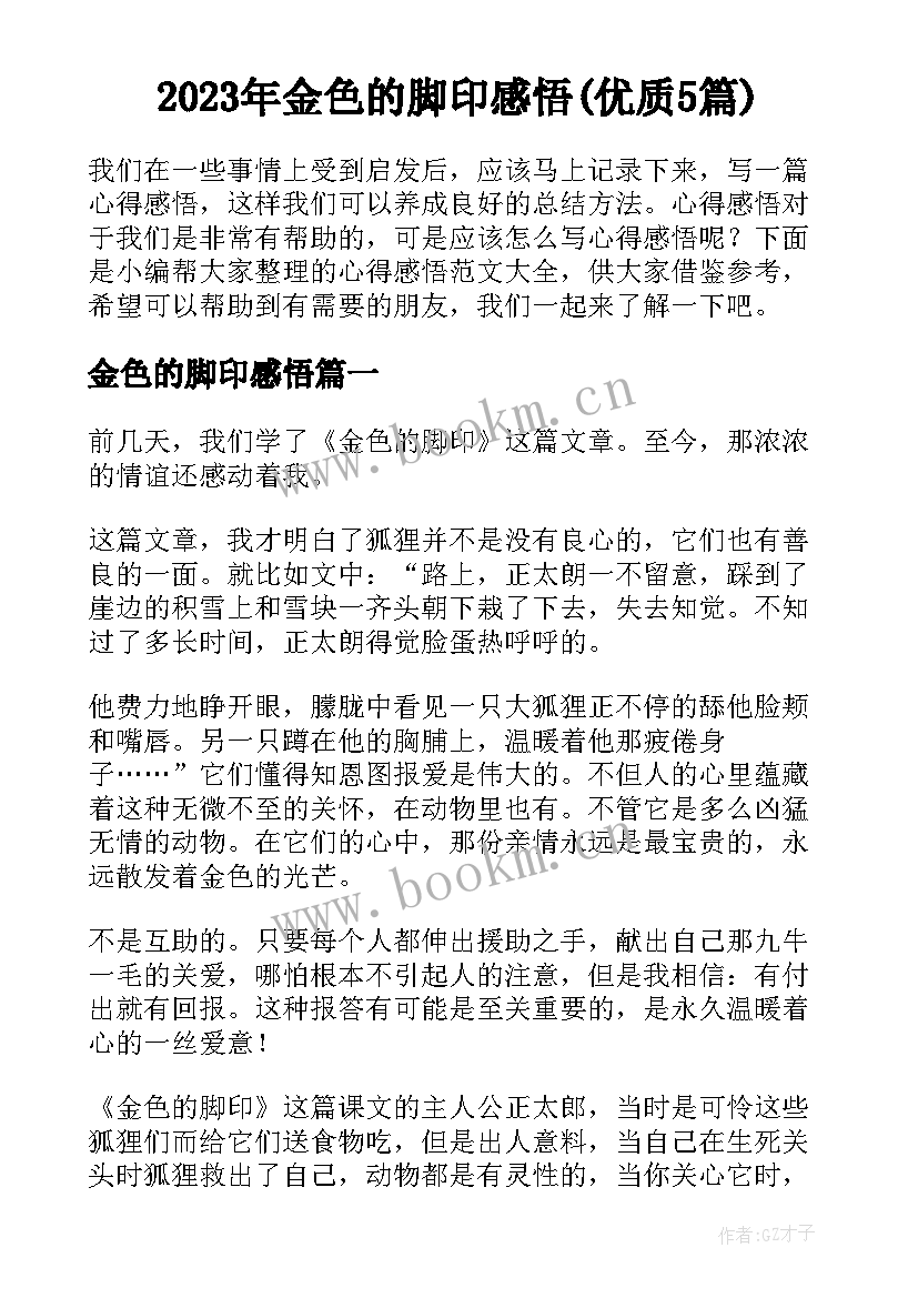 2023年金色的脚印感悟(优质5篇)