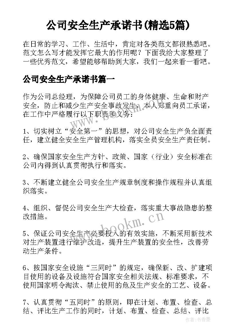 公司安全生产承诺书(精选5篇)