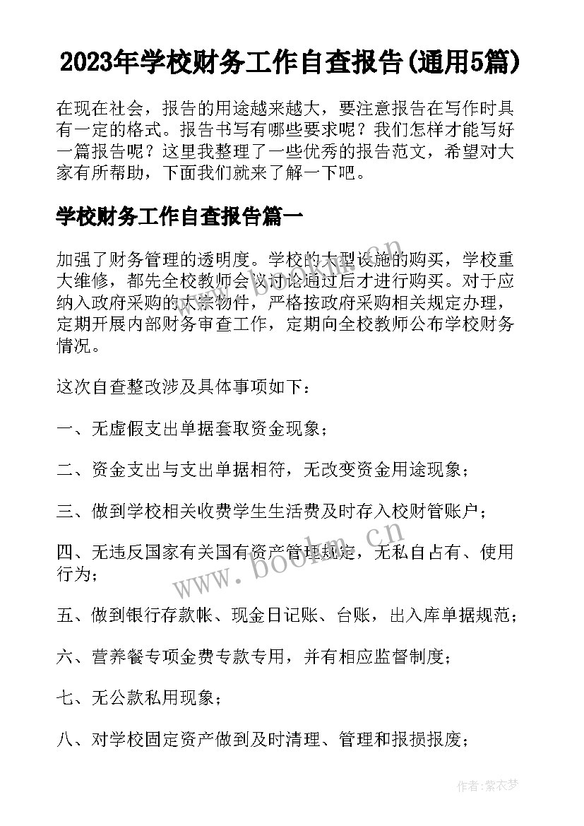 2023年学校财务工作自查报告(通用5篇)