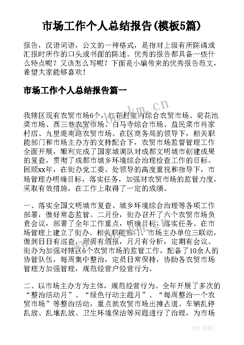 市场工作个人总结报告(模板5篇)