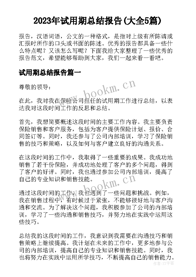 2023年试用期总结报告(大全5篇)