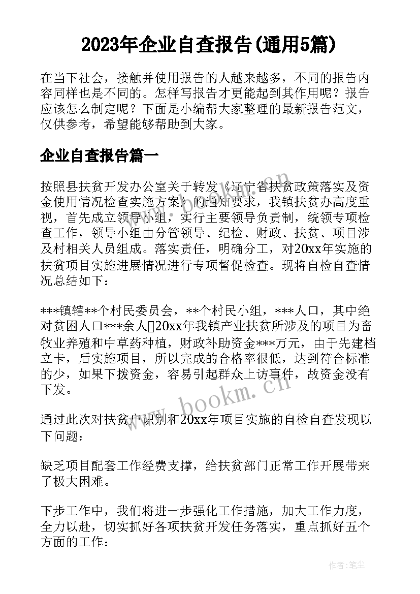 2023年企业自查报告(通用5篇)