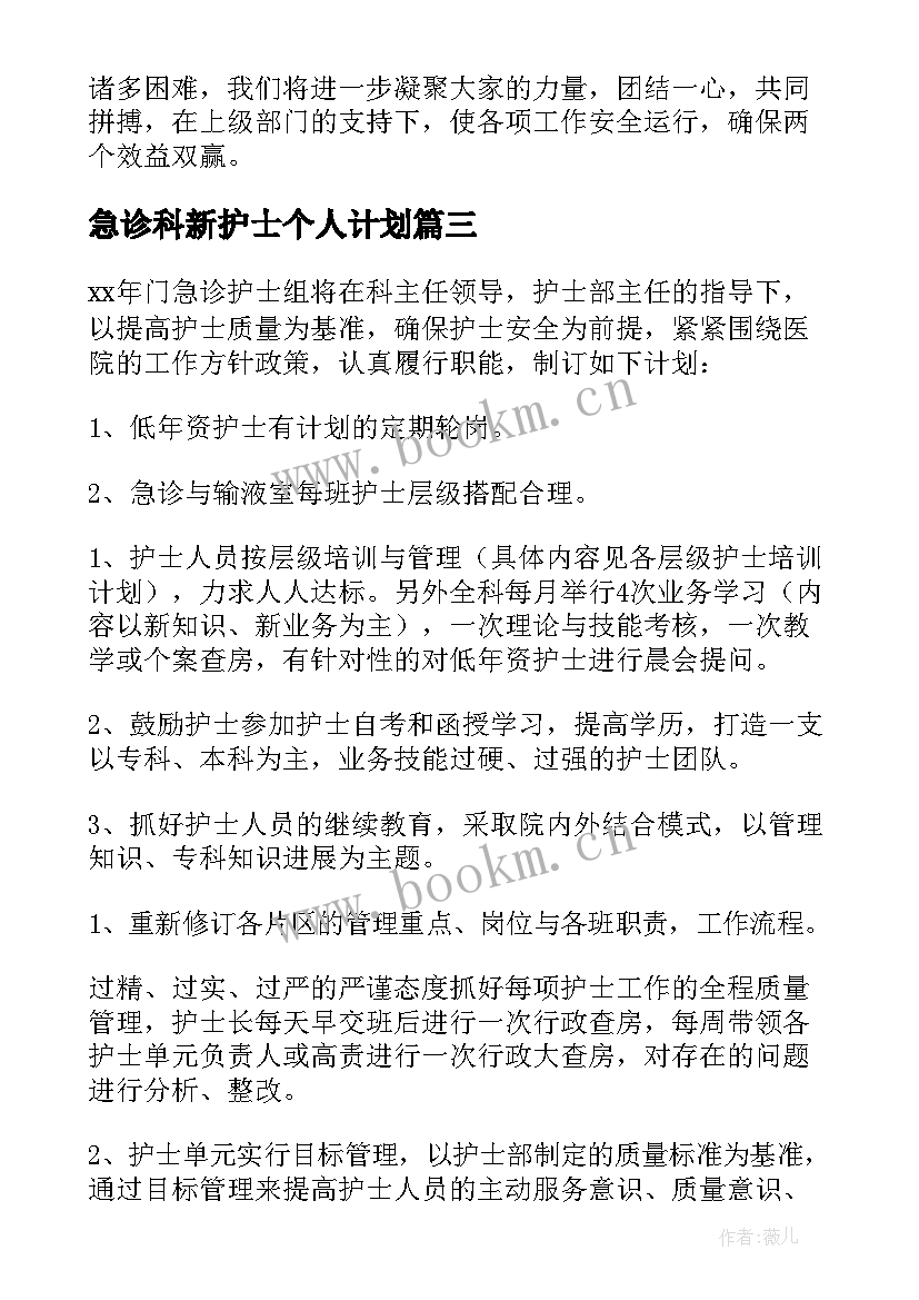 最新急诊科新护士个人计划 急诊科护士个人工作计划(汇总5篇)