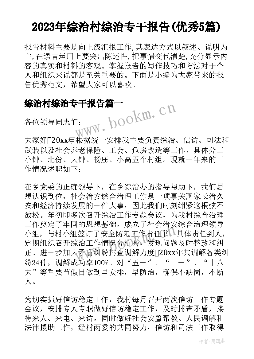 2023年综治村综治专干报告(优秀5篇)